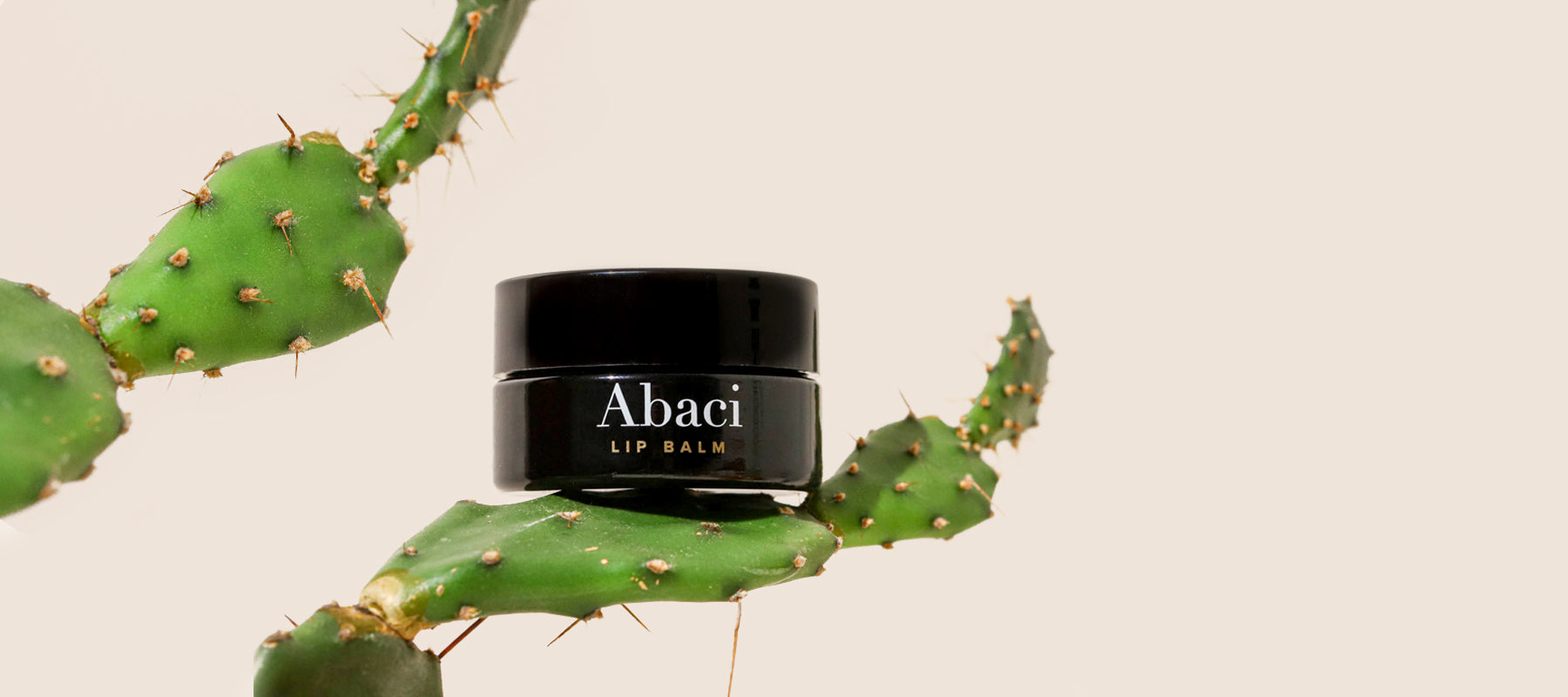 Prickly Pear Benefits: The Holy Grail Oil for All Skin Types